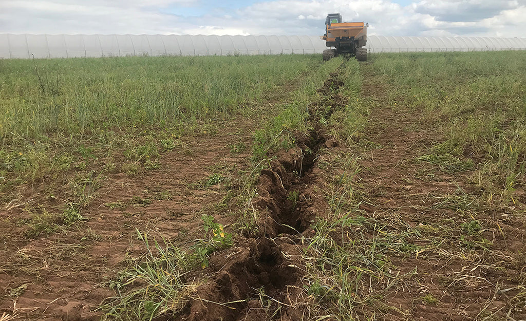 Flood prevention, drainage and irrigation pump, farmland