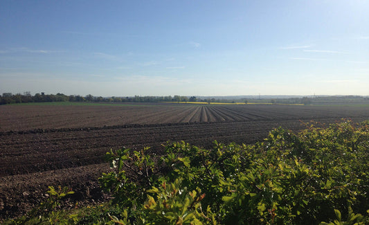 How farmers can protect soil from extreme weather