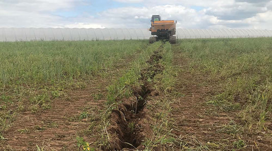 The Importance of Land Drainage: A Guide to Preparing Your Farm for the September Season